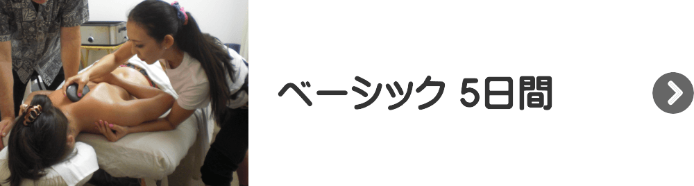 ベーシック5日間