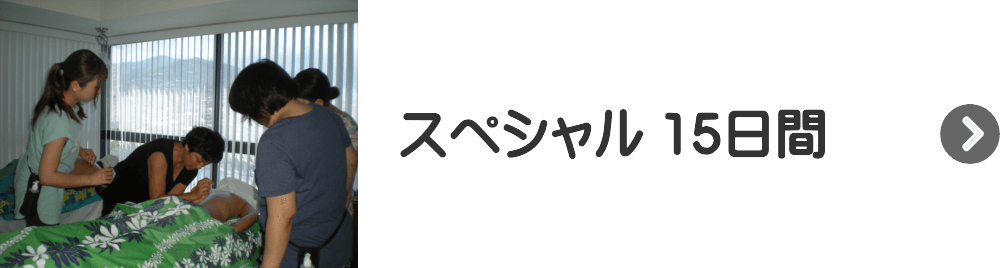 スペシャル15日間