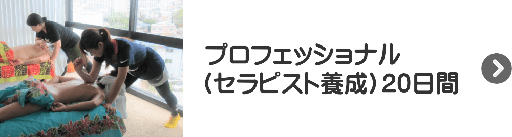 セラピスト養成・プロフェッショナル20日間